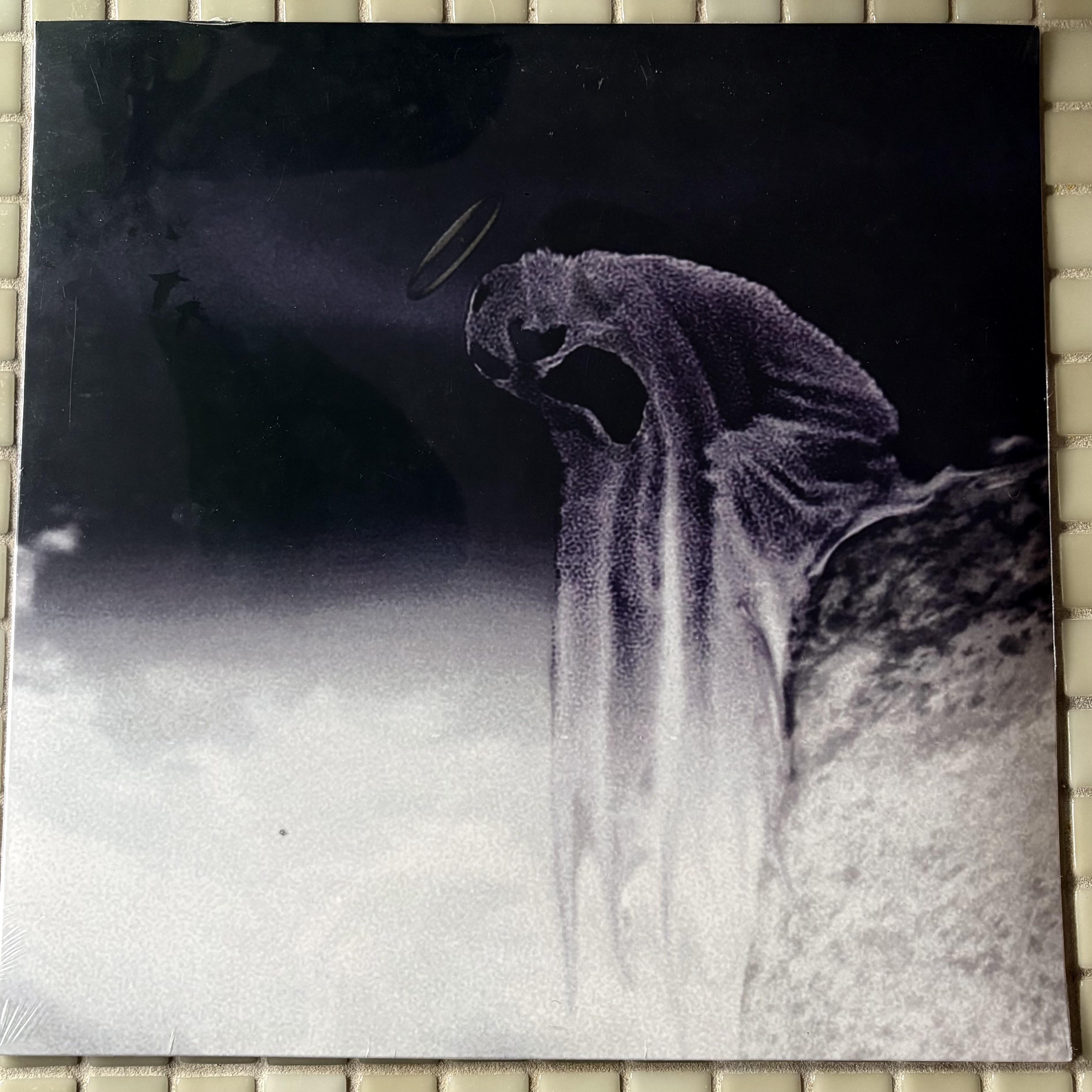rew rewin vinyl