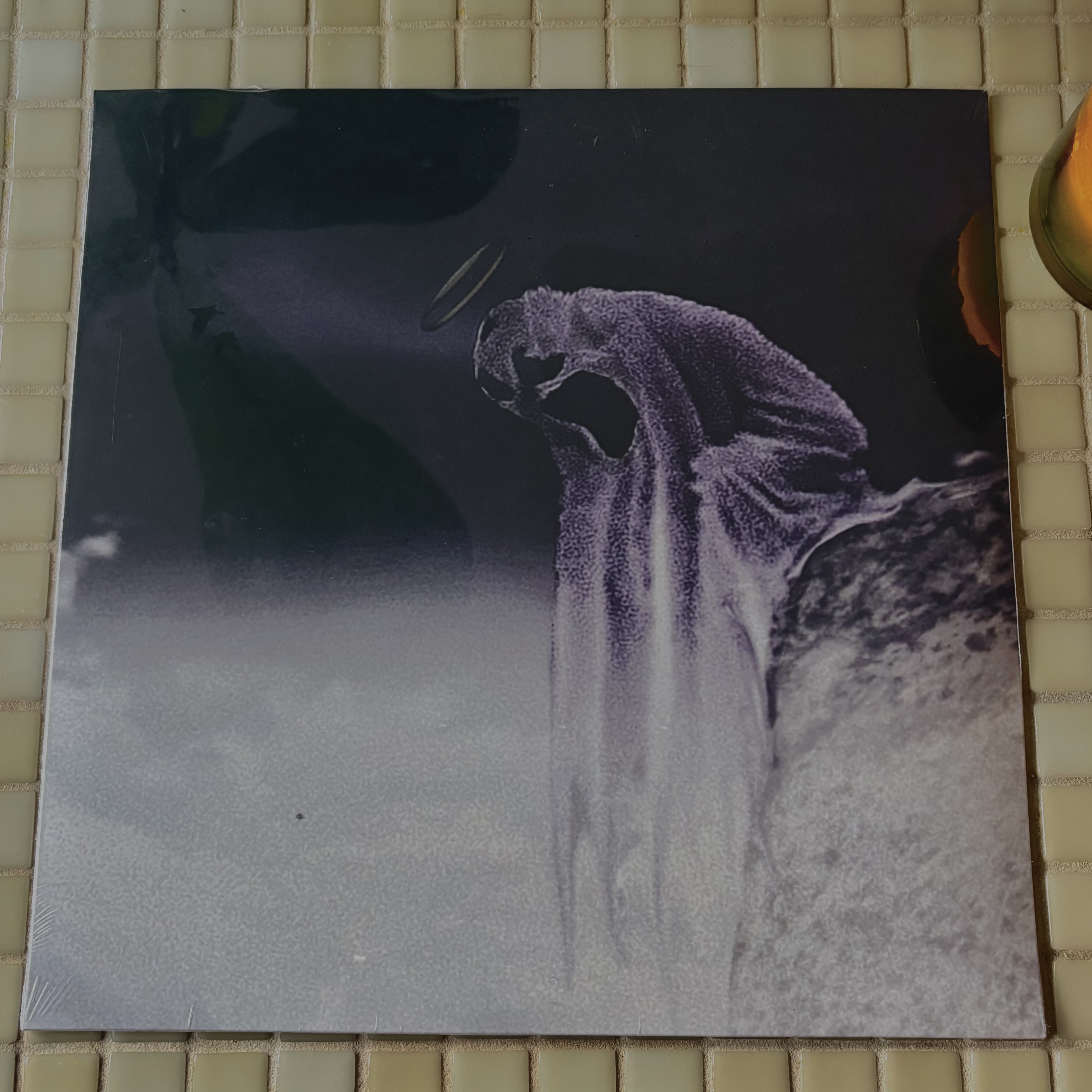 rew rewin vinyl detail